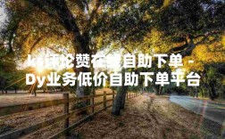dy自助下单福利平台，一站式在线涨业务新通道