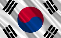 韩国紧急包机赴美救援被抓同胞