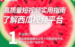 西瓜视频使用指南，轻松掌握视频分享与观看技巧