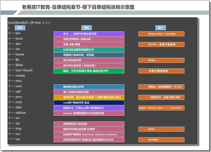 CentOS目录管理，如何有效组织文件和文件夹？-图2