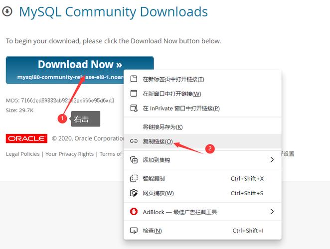 如何在CentOS上成功安装MySQL？-图2