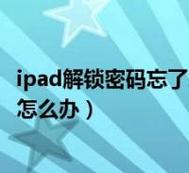 如何绕过iPad的密码锁？-图2