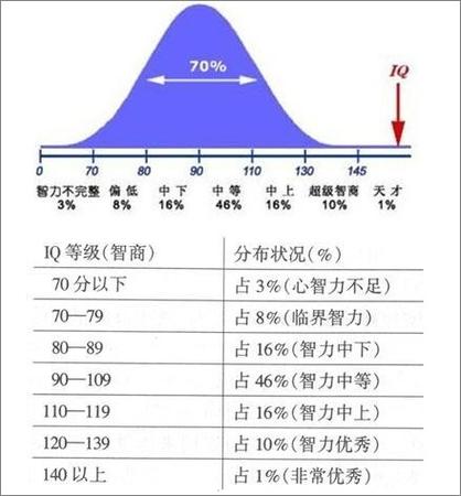 揭秘智力测试，如何准确测量智商？，原创疑问句标题，智商测试真的能准确评估一个人的智慧吗？-图3