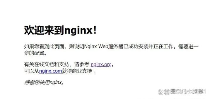 如何在CentOS 7上配置和优化Nginx服务器？-图3