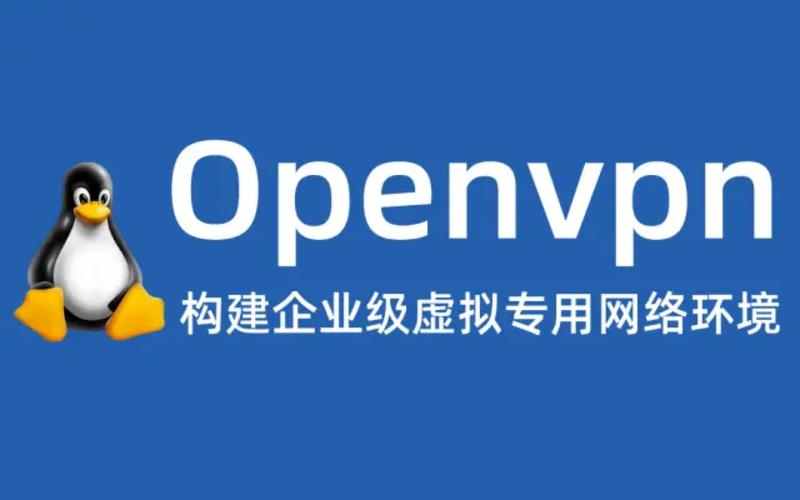 OpenVPN 报错，如何诊断和解决连接问题？-图1