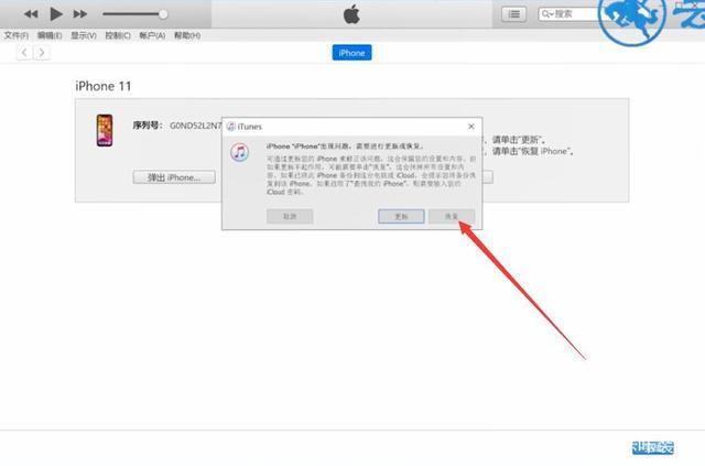 iPad 显示错误代码 4013，这是什么意思，我该如何解决？-图1