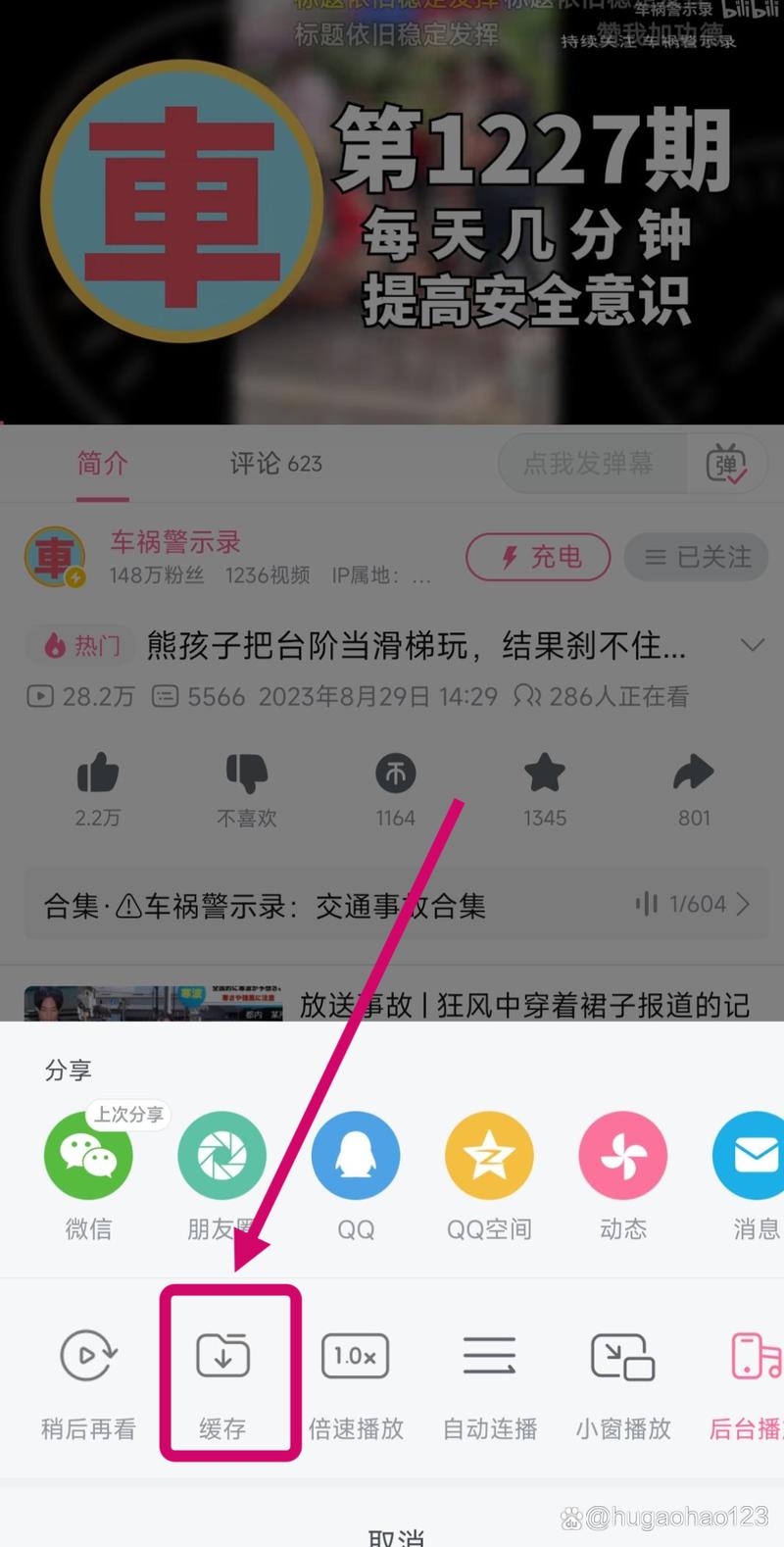 如何轻松下载Bilibili视频？-图3