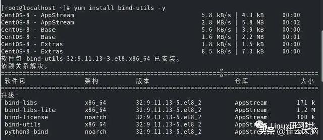 如何利用CentOS中的Dig命令进行DNS查询？-图3