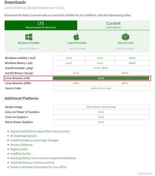 如何在CentOS上安装和配置Node.js?-图2