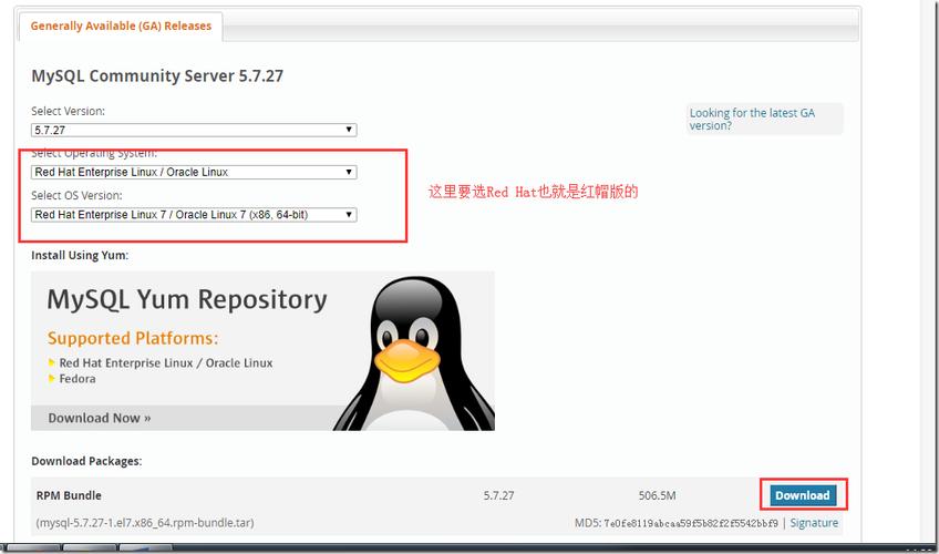 如何在 CentOS 上使用 RPM 安装 MySQL?-图1