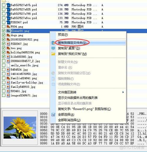 如何在 CentOS 中彻底清除不必要的文件和数据？-图3