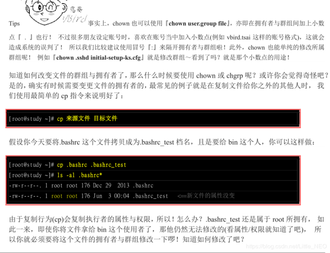 如何在CentOS中设置文件权限？-图1