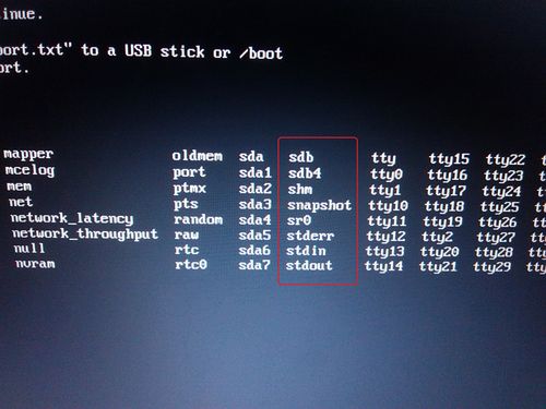 如何在CentOS 7上使用U盘进行安装？-图1