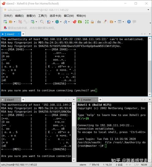 如何在CentOS上安装Hadoop？-图2