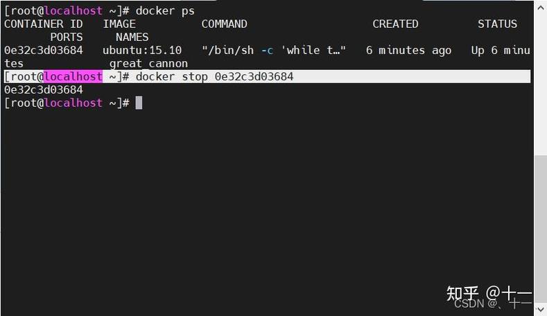 如何在 CentOS 上安装 Docker？-图2