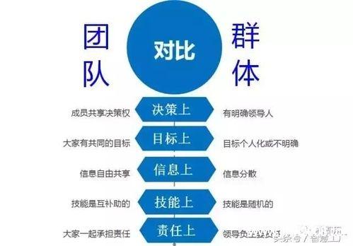 如何构建高效团队，关键步骤与策略是什么？-图2