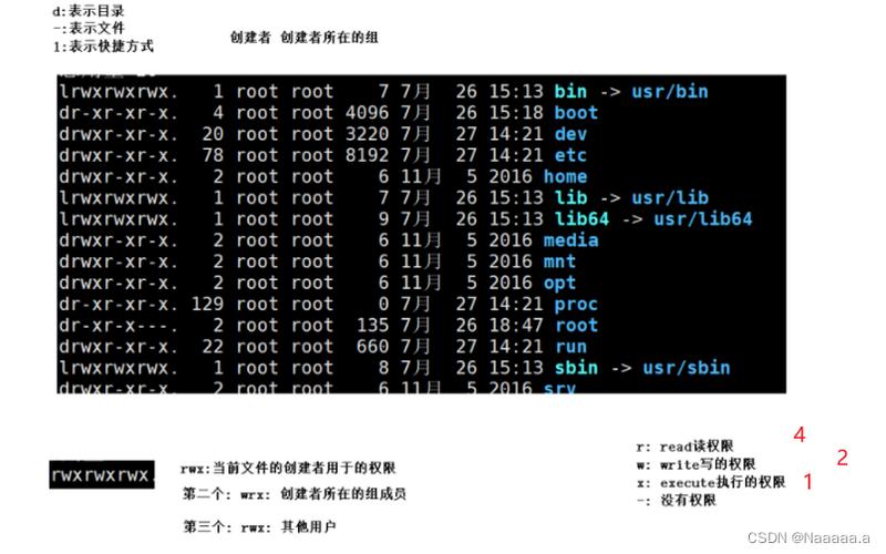 如何高效使用CentOS系统命令来管理你的Linux服务器？-图3