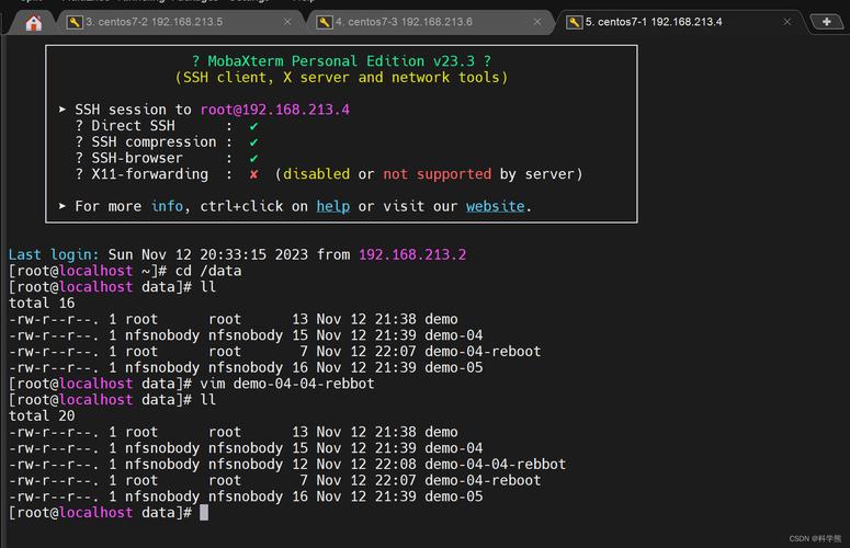 如何在 CentOS 上成功安装 NFS？-图1