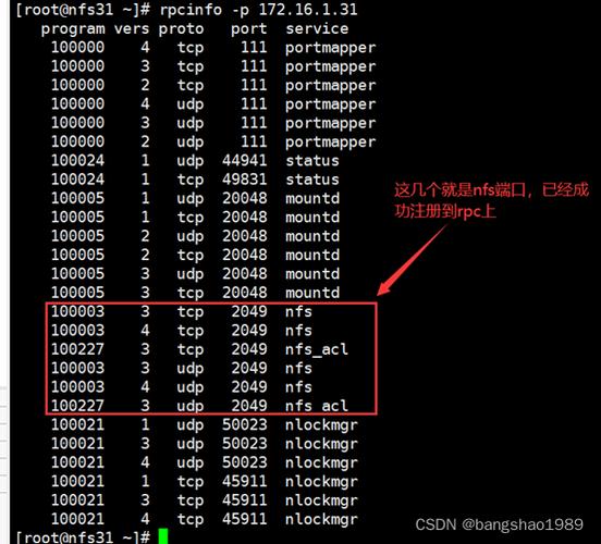 如何在 CentOS 上成功安装 NFS？-图3