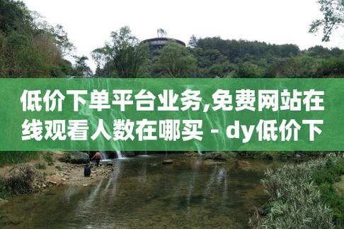 dy自助平台业务下单真人关于一个名为dy的自助服务平台-图1