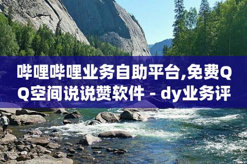 Dy24小时自助服务平台，真的能满足你全天候的需求吗？-图1