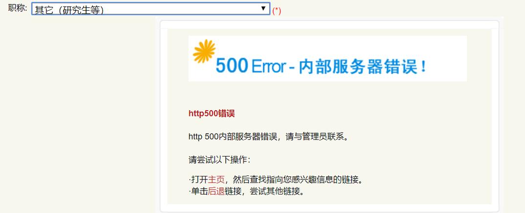 HTTP 500错误，它意味着什么，我们该如何应对？-图2