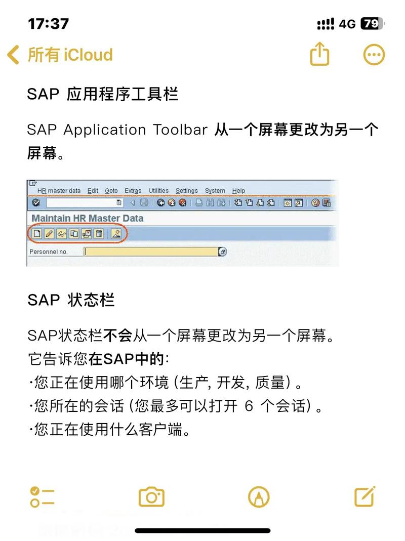 为什么在使用SAP GUI时会出现报错？-图2