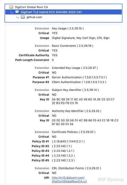 TrustCA报错，如何有效解决这一问题？，旨在吸引读者的注意力，同时提出一个明确的问题，表明文章将讨论如何解决TrustCA报错。-图2