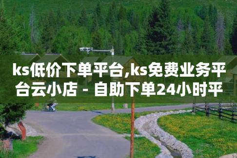 如何通过自助下单网站快速提升KS点赞量？-图1