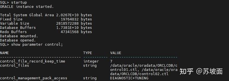 如何在CentOS上成功启动Oracle数据库？-图3