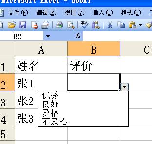 如何在Excel中创建单元格下拉选择列表？-图3