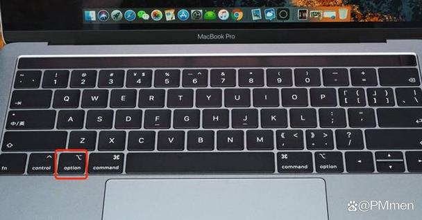 为什么在使用MacAltserver时会出现报错？-图3