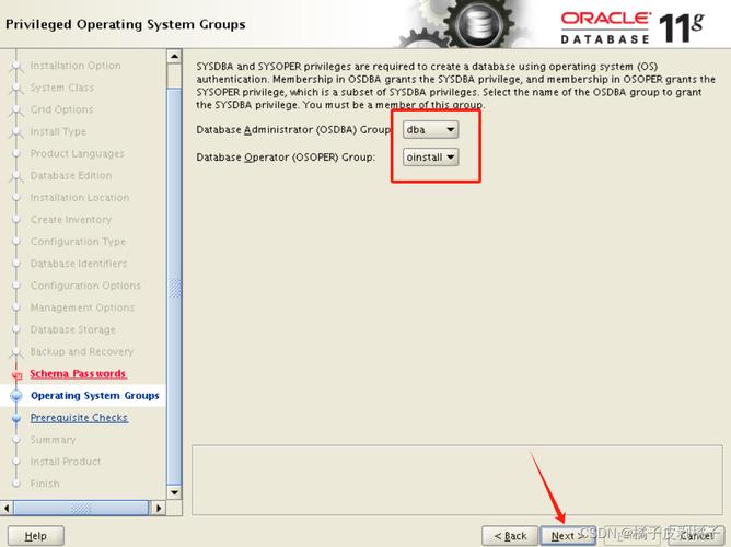 如何在CentOS上成功安装Oracle 11g数据库？-图2