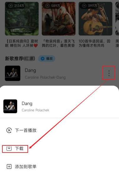 如何轻松将音乐下载到U盘？-图3