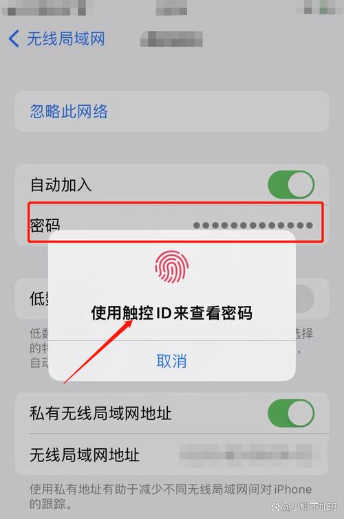 如何在手机上查看已连接的WiFi密码？-图3