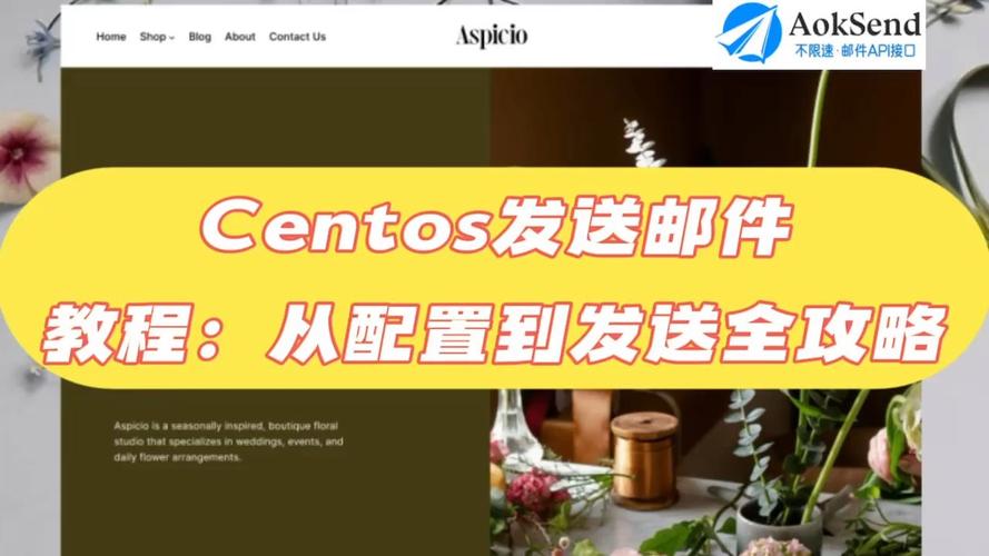 如何在CentOS上设置和发送电子邮件？-图1