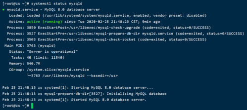 如何在 CentOS 系统上成功安装 MySQL 数据库？-图3