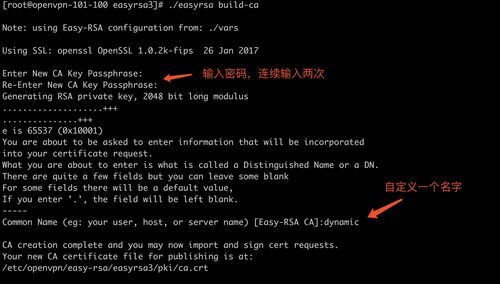 如何在CentOS 7上设置OpenVPN服务？-图2