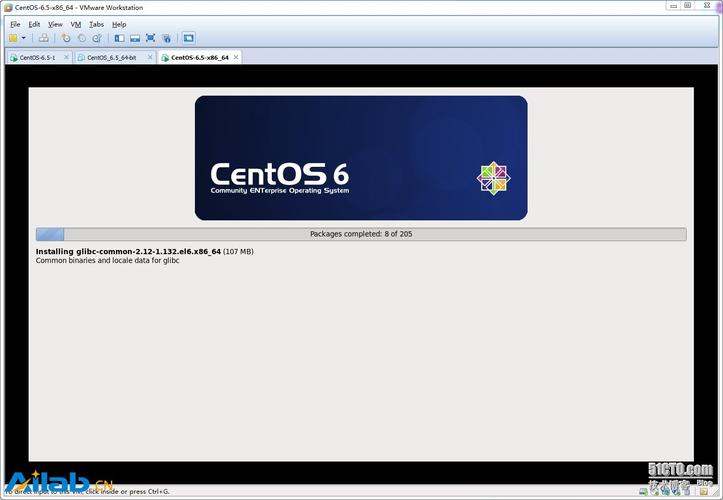 如何成功设置和运行CentOS 6.5虚拟机？-图3