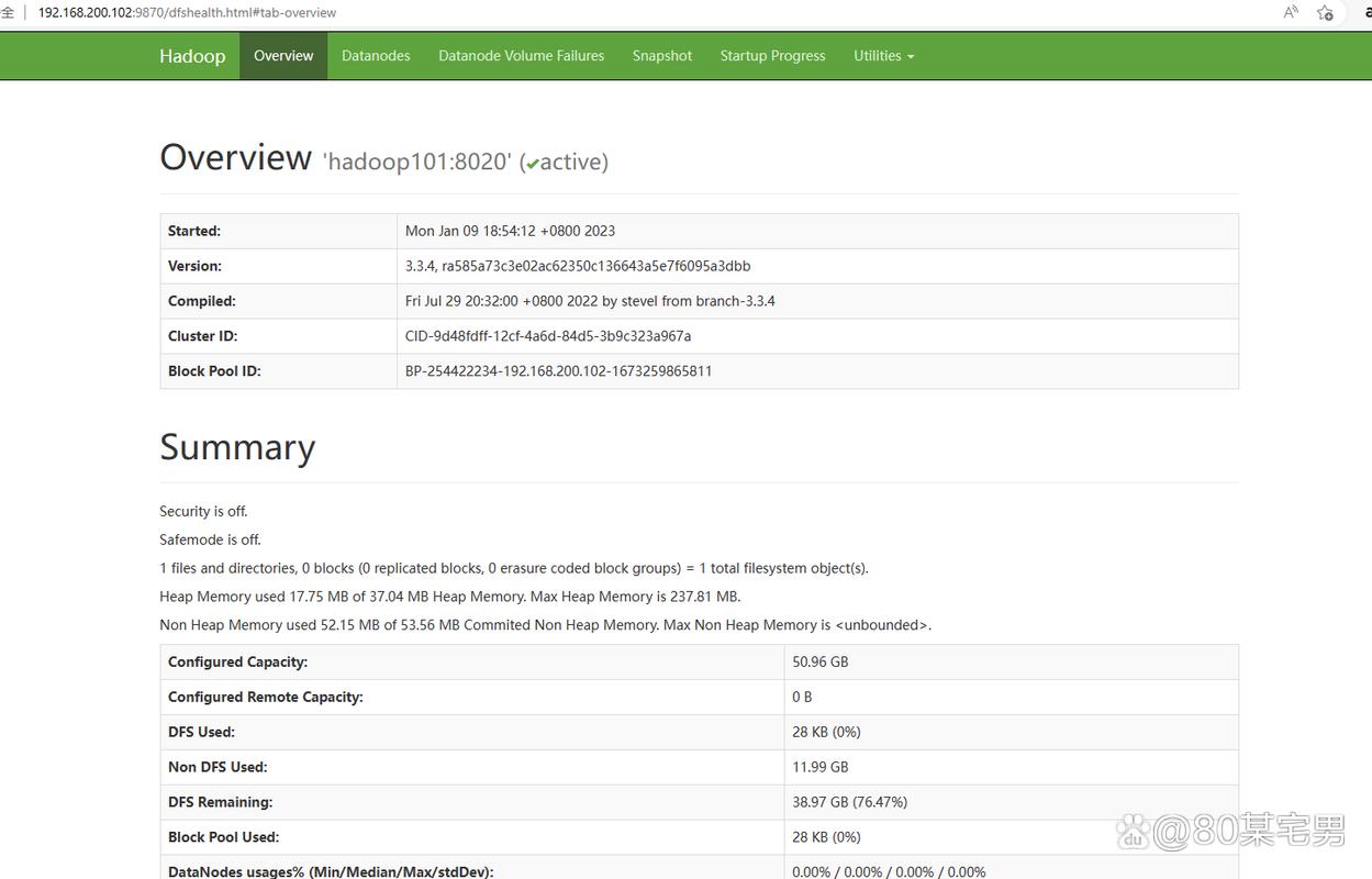 如何在CentOS 7上安装和配置Hadoop？-图1