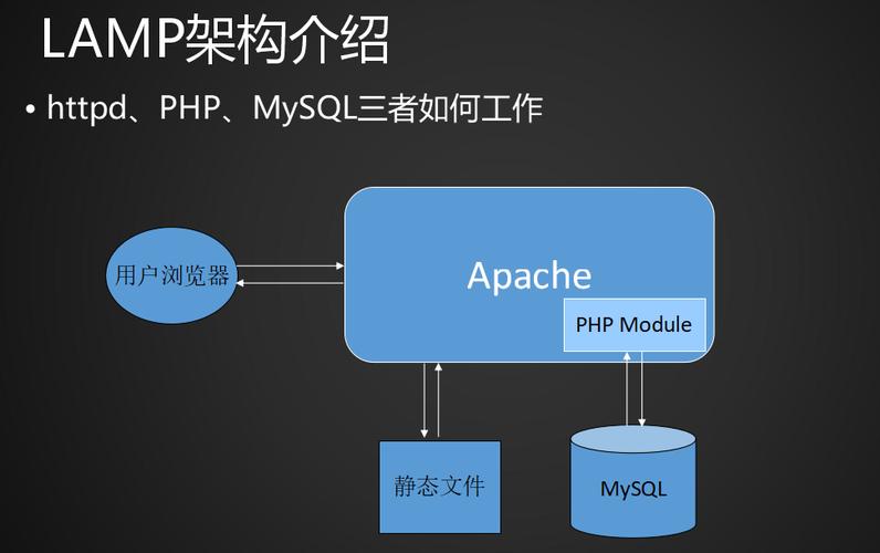 如何在CentOS上成功搭建LAMP环境？-图1