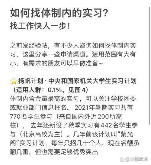 如何有效寻找所需信息，掌握关键搜索技巧-图2