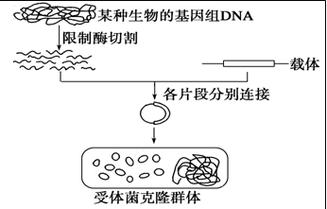 载体报错背后隐藏了哪些技术难题？-图2