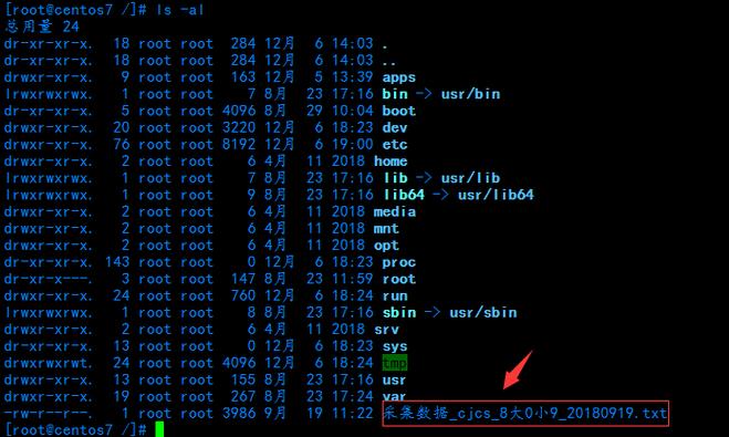 如何修复CentOS 7系统中的乱码问题？-图1