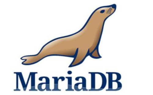 如何在 CentOS 上安装 MariaDB？-图1