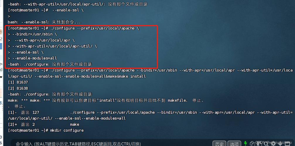 Apache服务器出现错误，该如何解决？-图1