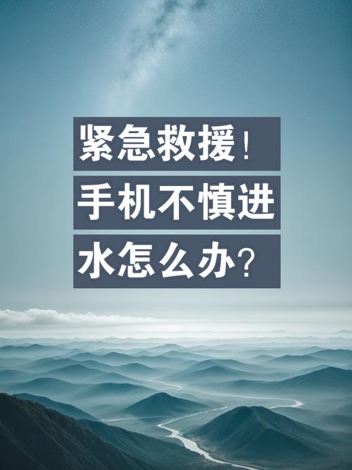 手机不慎进水，该如何正确处理？-图2