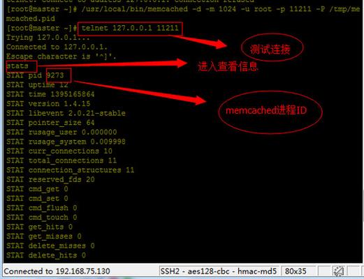 如何在 CentOS 上安装 Memcached？-图1