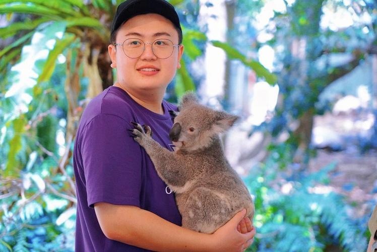 Koala报错，如何有效解决并避免此类错误？-图1