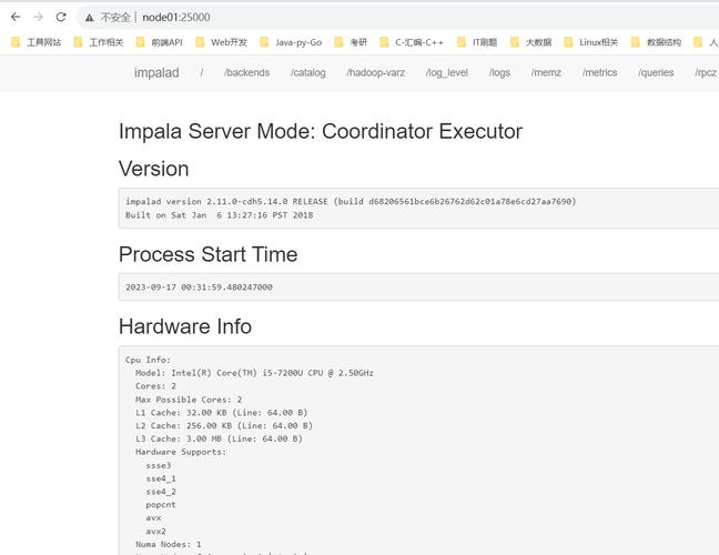 如何在CentOS7上部署Hadoop 3.3.4？-图2